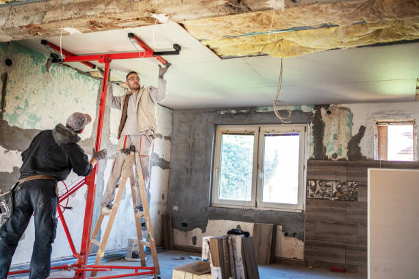 Best Types of Insulation in Colmar Manor, MD